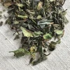 Stash Tea Unflavored>Fusion Green And White Tea