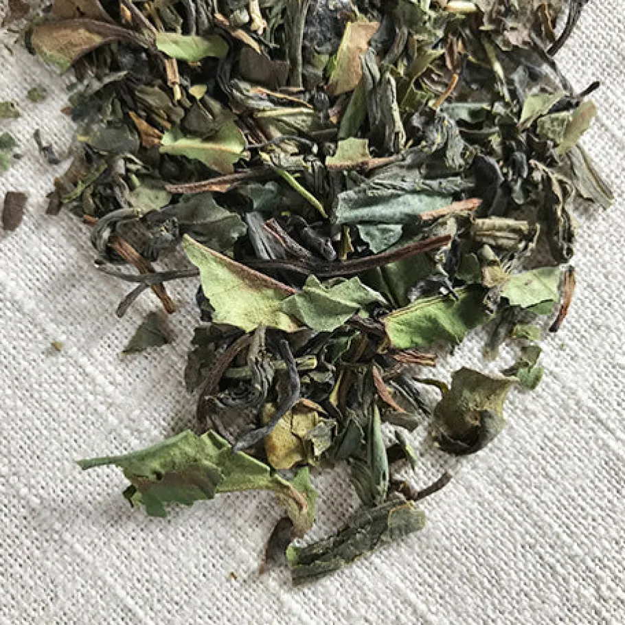 Stash Tea Loose Leaf>Fusion Green And White Tea