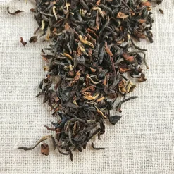 Stash Tea Unflavored>Glenburn Second Flush Darjeeling