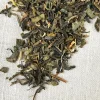 Stash Tea Flower>Jasmine Blossom Green Tea