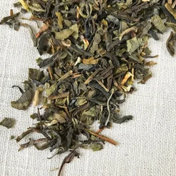 Stash Tea Flower>Jasmine Blossom Green Tea