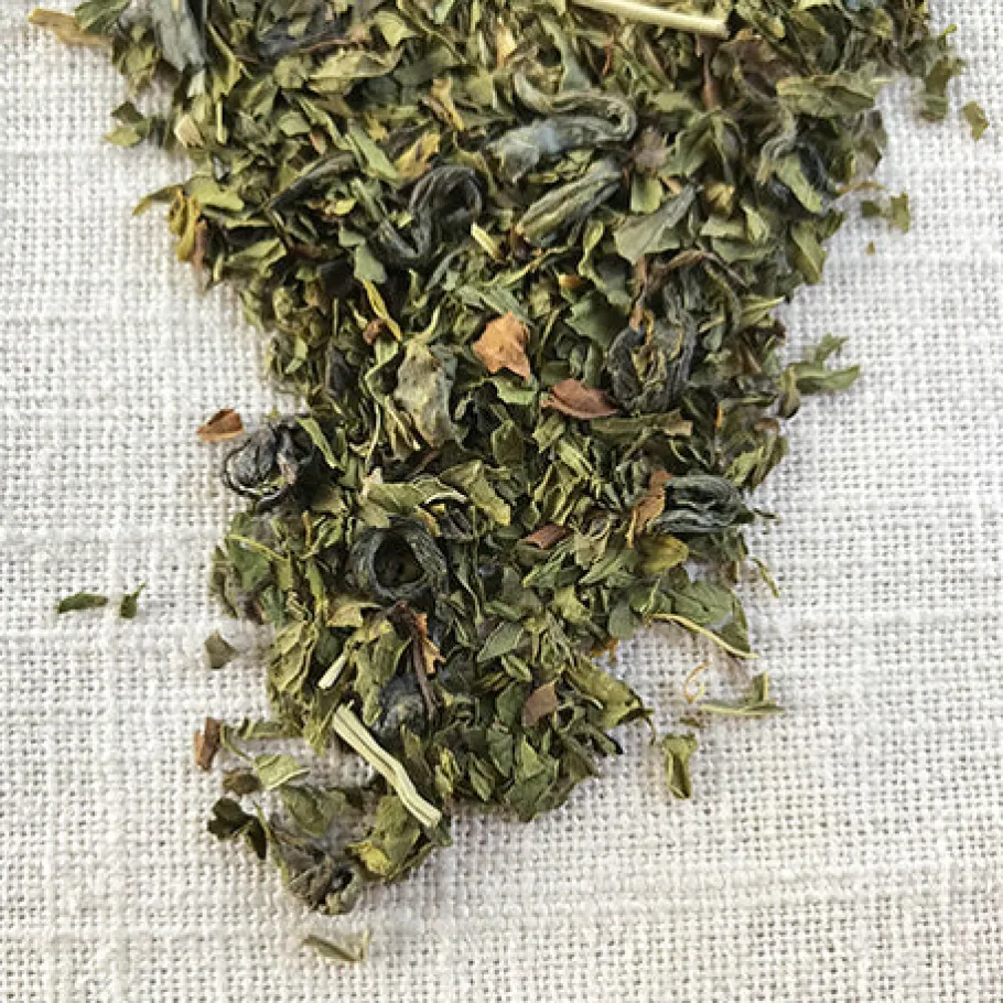Stash Tea Loose Leaf>Moroccan Mint Green Tea
