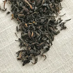 Stash Tea Unflavored>Organic Assam Black Tea