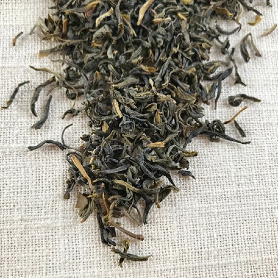 Stash Tea Green>Organic Jasmine Green Tea