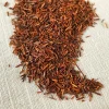 Stash Tea Unflavored>Organic Rooibos Herbal Tea