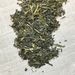 Stash Tea Unflavored>Premium Green Tea