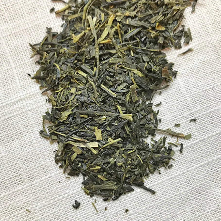 Stash Tea Unflavored>Premium Green Tea